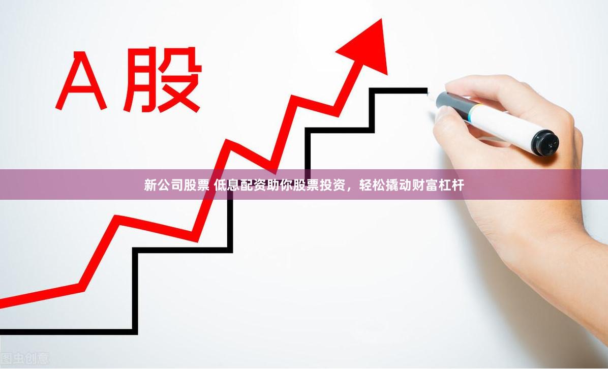 新公司股票 低息配资助你股票投资，轻松撬动财富杠杆