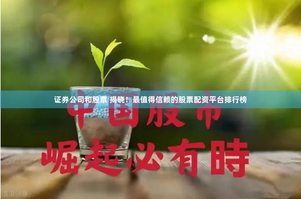 证券公司和股票 揭晓！最值得信赖的股票配资平台排行榜