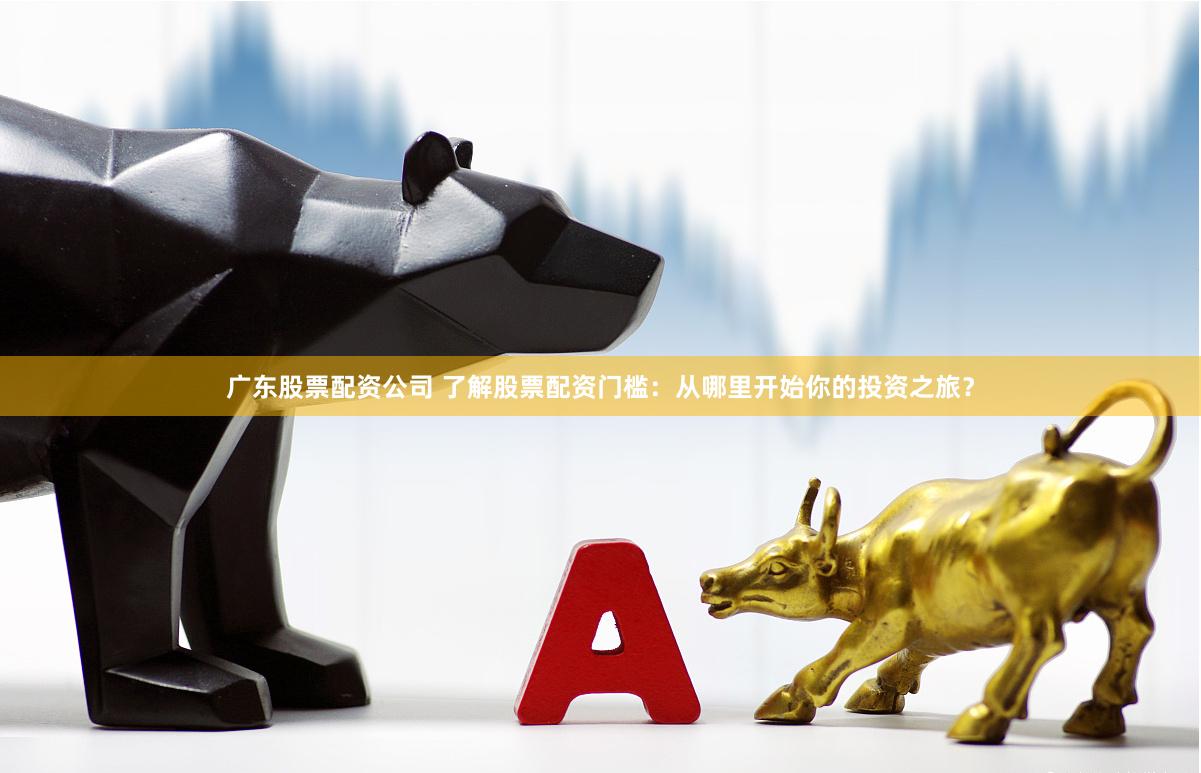 广东股票配资公司 了解股票配资门槛：从哪里开始你的投资之旅？